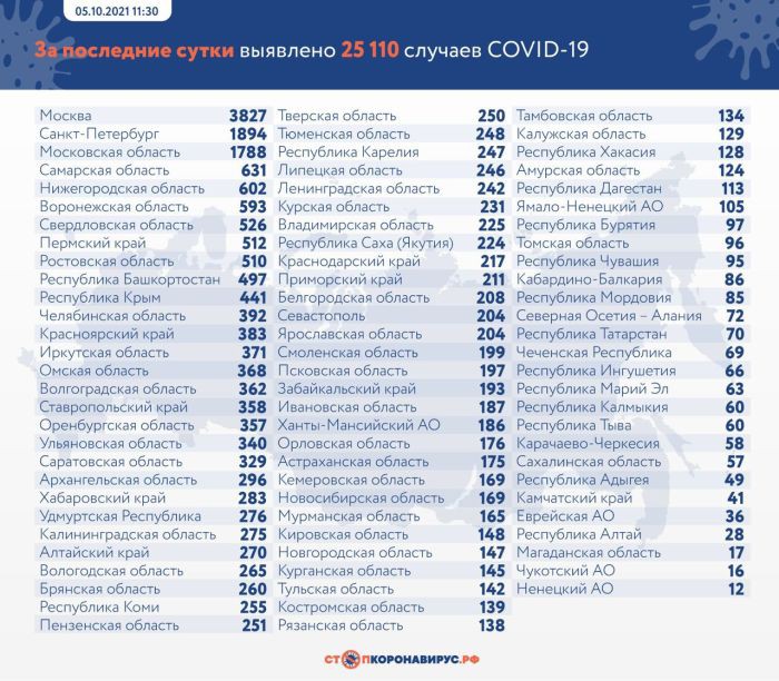 В России коронавирусом заболели еще 25 110 человек