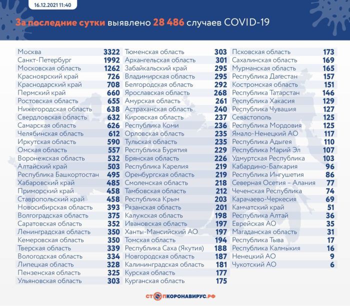 В России коронавирус подтвердили еще у 28 486 человек