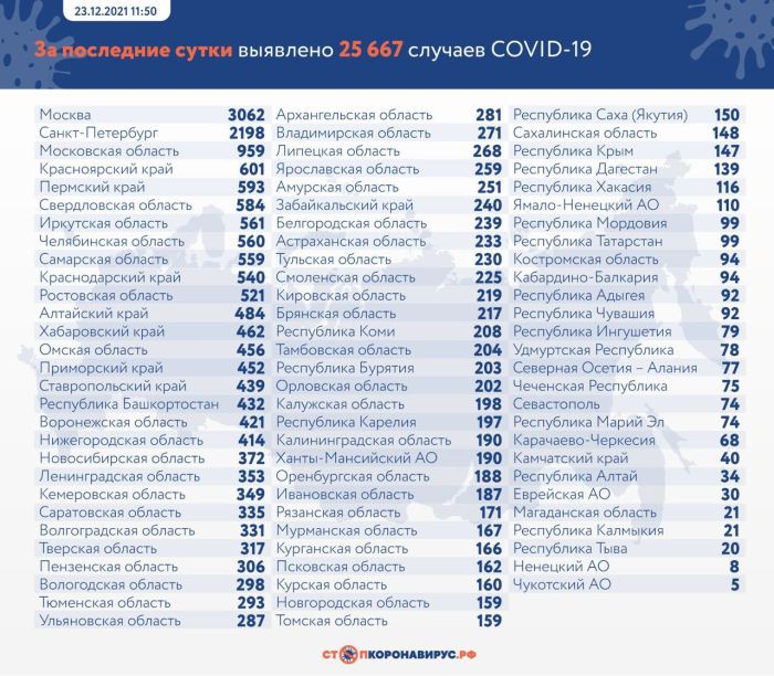 В России за сутки выявили 25 667 случаев COVID-19
