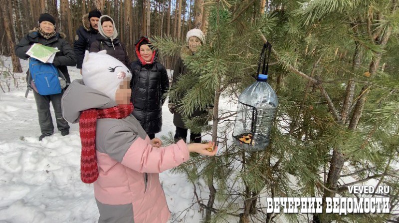 Защитники Калиновского лесопарка в Екатеринбурге проложили в нём «народную тропу»