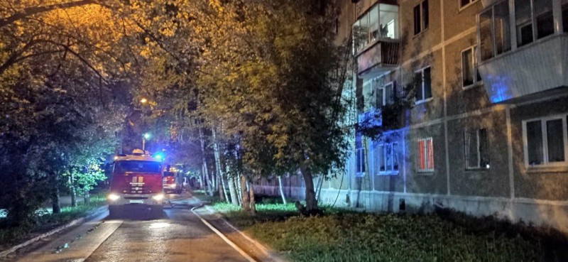 Из горящей пятиэтажки в Екатеринбурге спасли 13 человек, кота и попугая