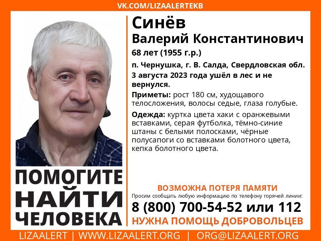 В лесу в Свердловской области пропал пенсионер с возможной потерей памяти »  Вечерние ведомости