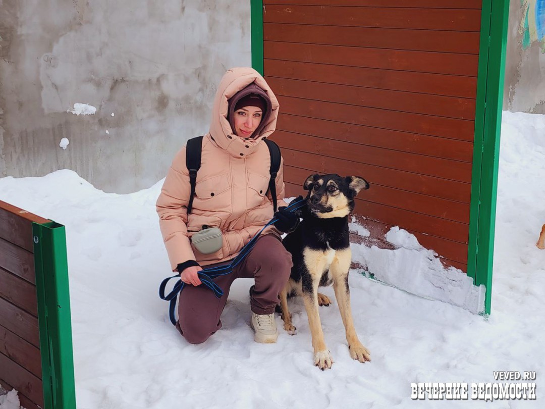 Около 70 екатеринбуржцев пришли на спасительную фотосессию для собак от фонда «ЗооЗащита»