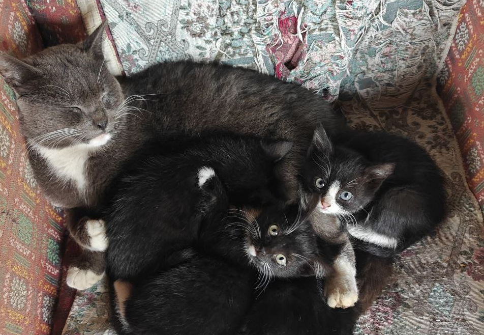 Фото из соцсетей